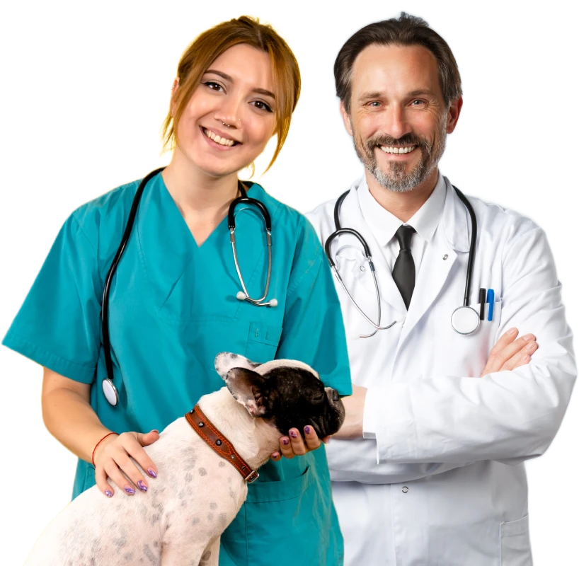 Capa Seguro para Veterinários